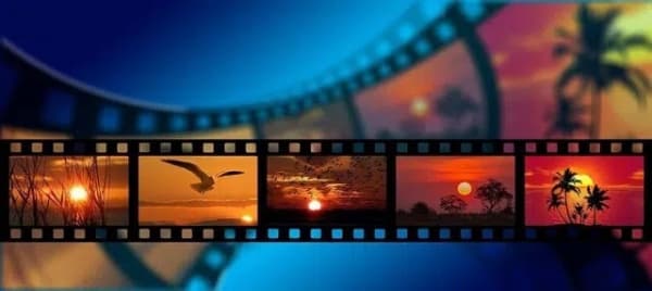 مهرجان أفلام بيئية يستقبل تقديمات