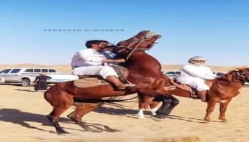 اليمن: انطلاق مهرجان التراث والموروث الشعبي السادس في مديرية عسيلان بمحافظة شبوة.