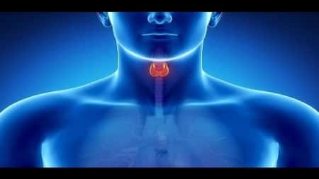 صحة: الإسهال والإمساك المزمنان يشيران لمشاكل الغدة الدرقية